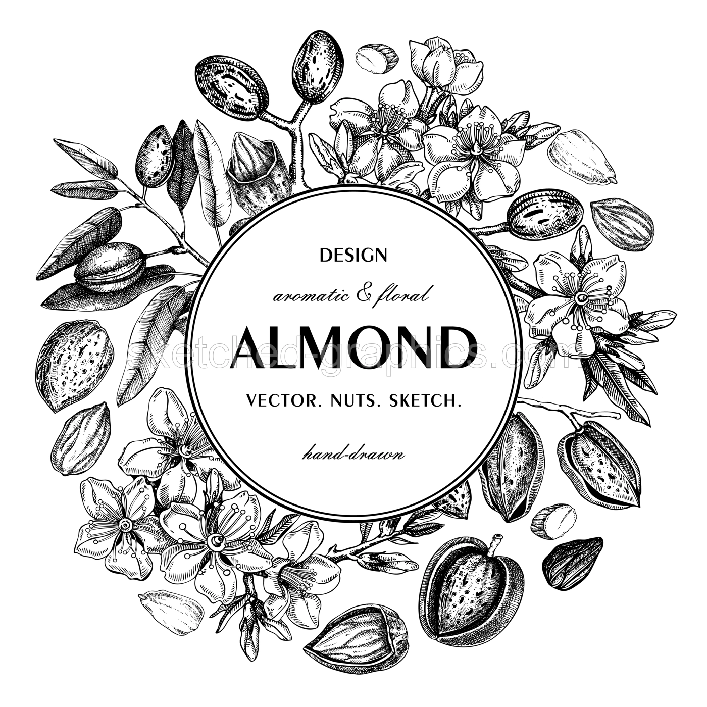 Almond nut wreath design.Blooming branches, nuts, flower sketches. Hand-drawn vector illustration. Botanical background. NOT AI generated Illustration